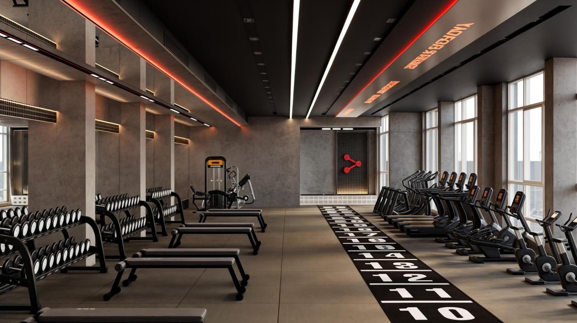 Phoenix Hotel & Wellness Sheikh Zayed City Екстер'єр фото